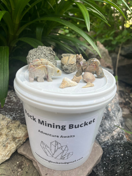 Dinosaur & Fossil Rock Mining Bucket