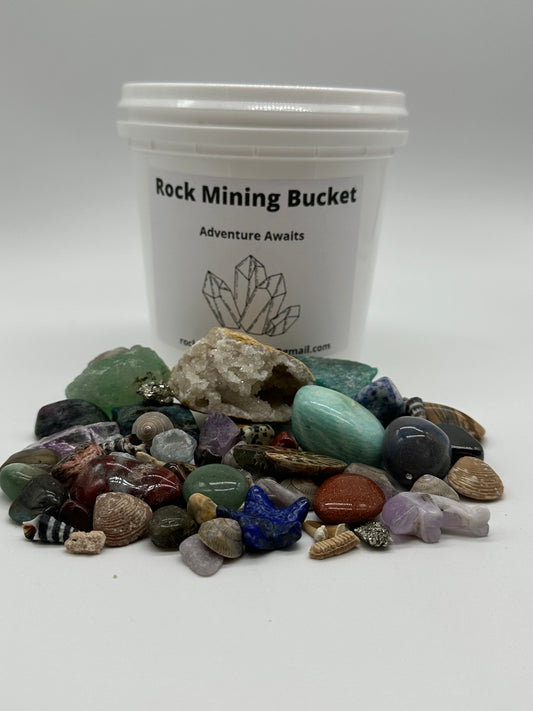 Ocean Life & Fossil Rock Mining Bucket
