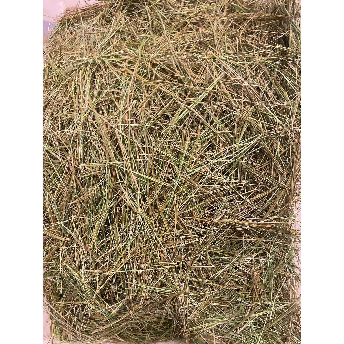 White Pine Needles-Lady Of The Moss