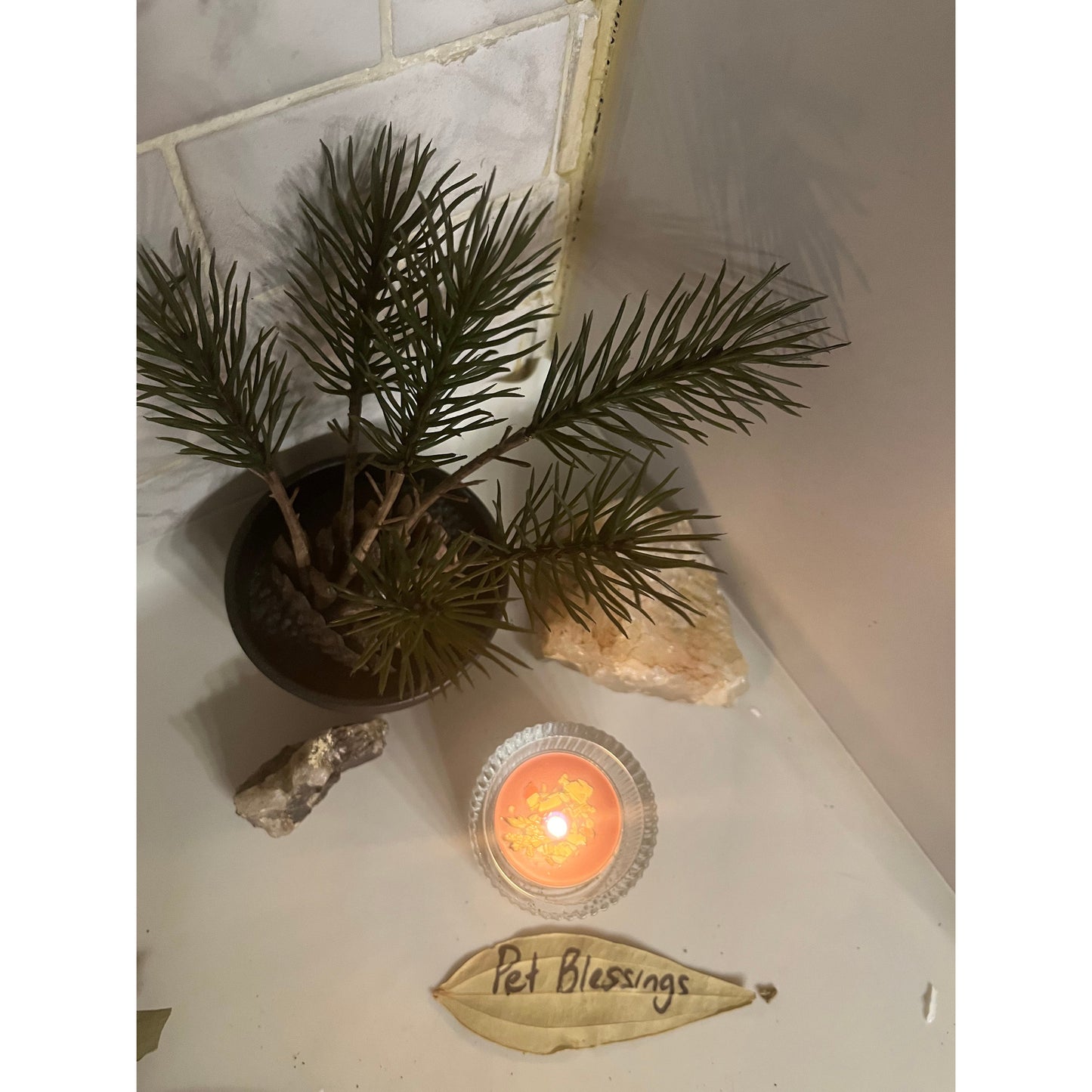 Pet Blessings-Protection-Health-Happiness- Candle Burning - Same Day-Lady Of The Moss