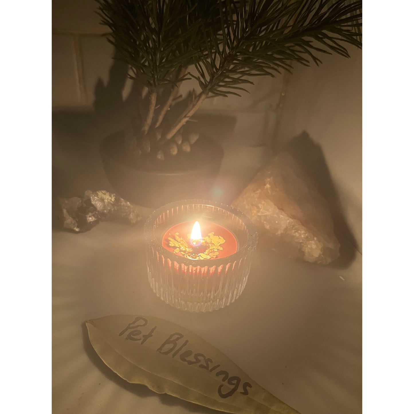 Pet Blessings-Protection-Health-Happiness- Candle Burning - Same Day-Lady Of The Moss
