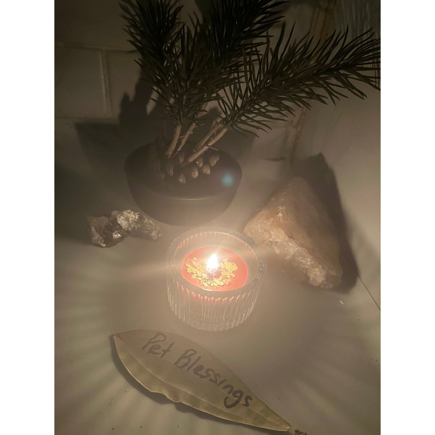 Pet Blessings-Protection-Health-Happiness- Candle Burning - Same Day-Lady Of The Moss