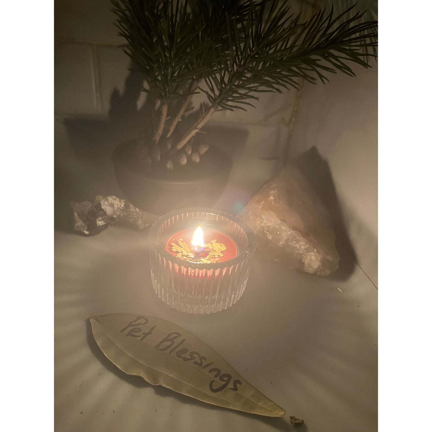 Pet Blessings-Protection-Health-Happiness- Candle Burning - Same Day-Lady Of The Moss