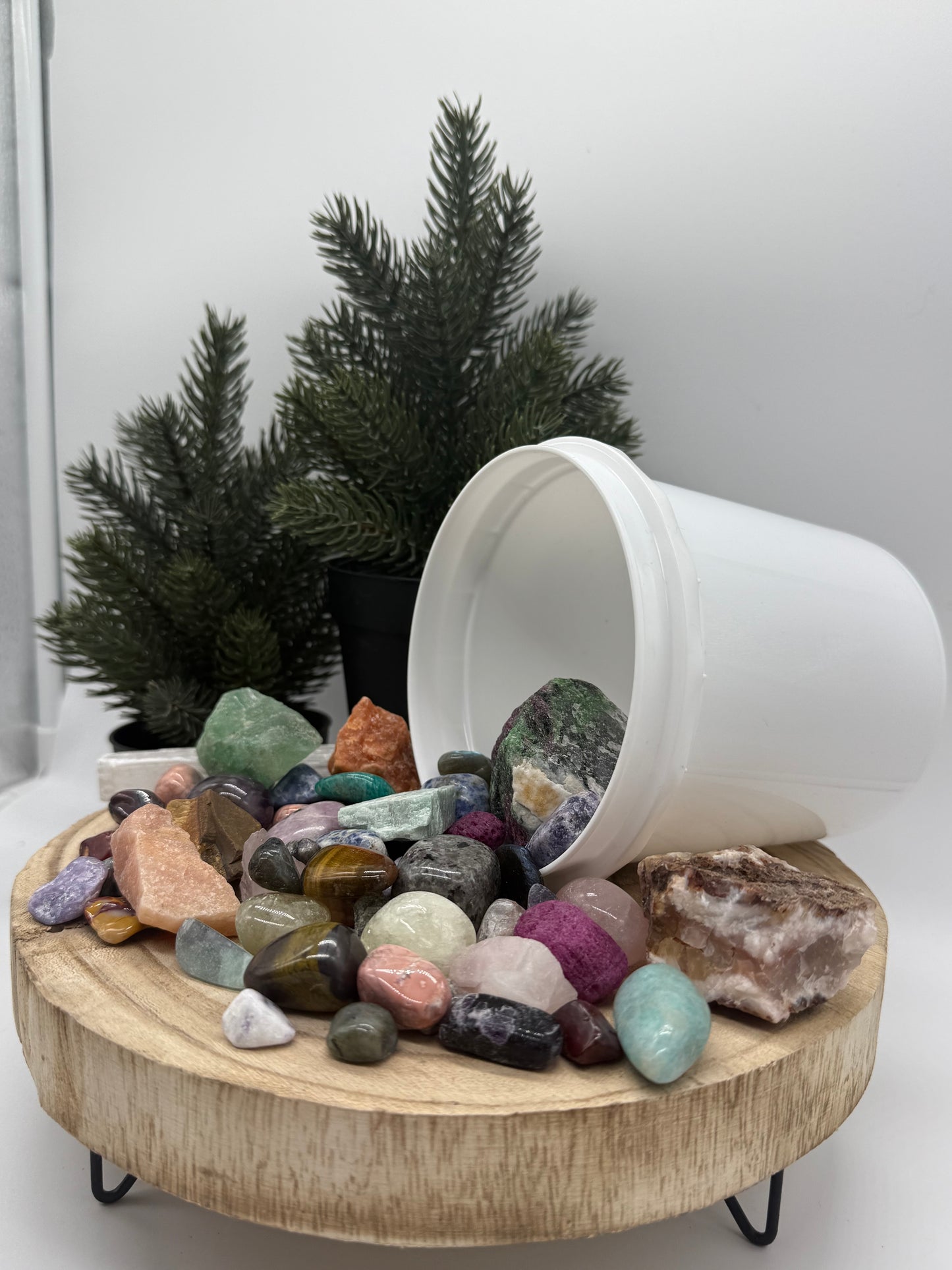 Kids Crystal Mining Kit - Gem Dig Bucket for Kids - Rock Discovery Kit - Sensory Play Gift - Lady of the Moss