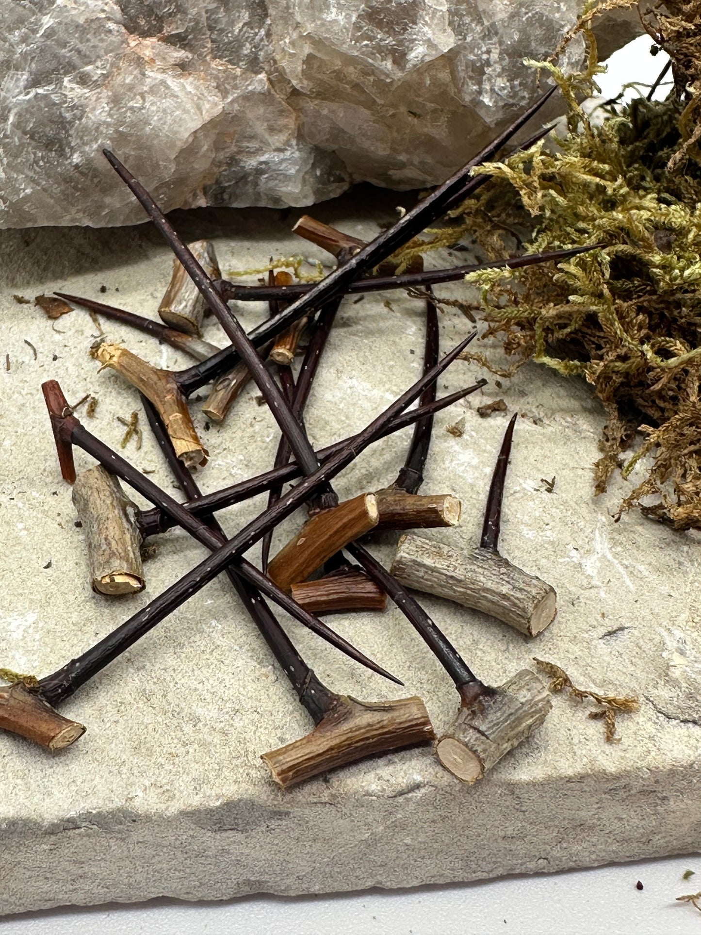 Hawthorn Spines