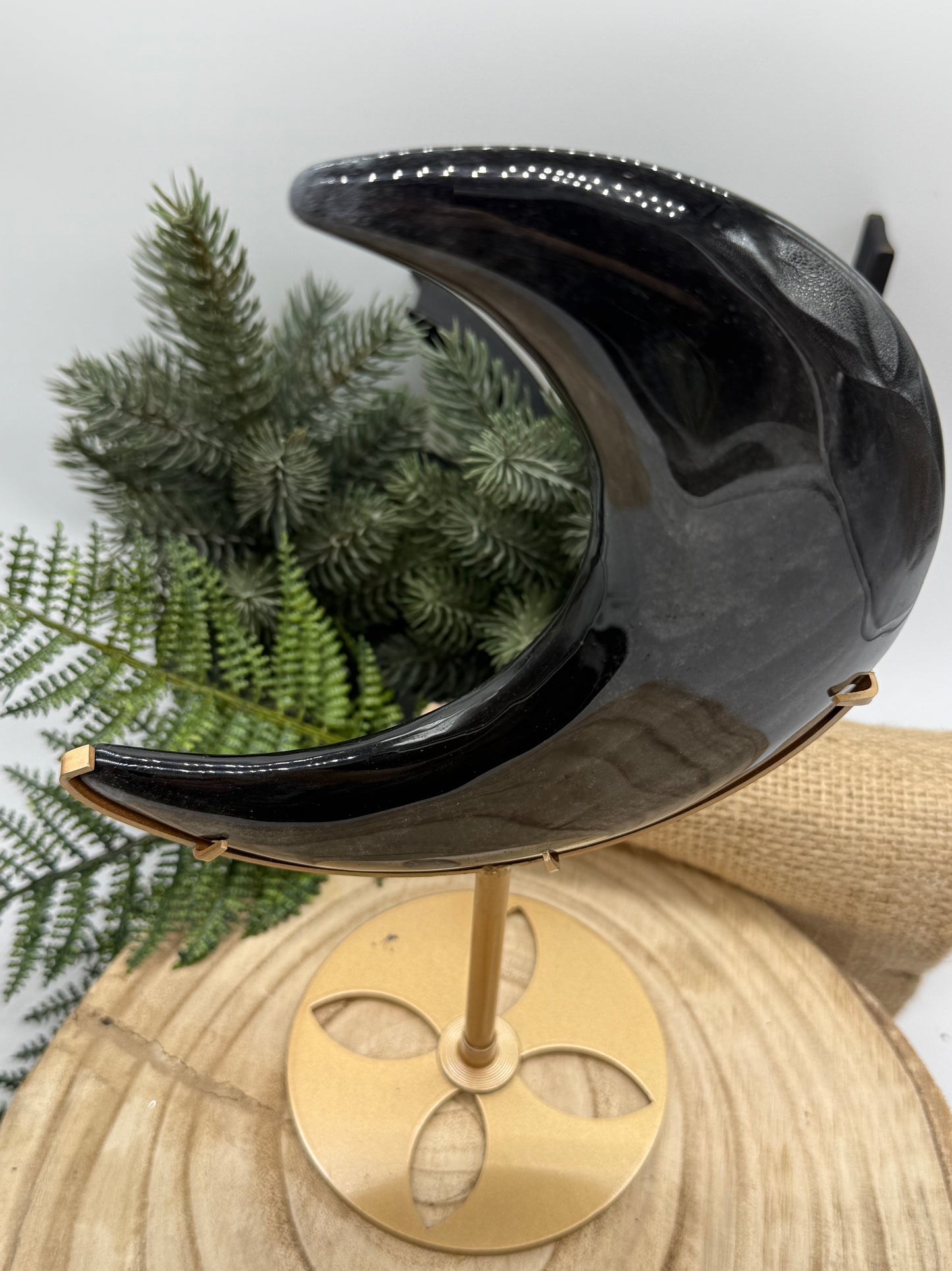lack Obsidian Crescent Moon | Large Obsidian Moon Crystal | Display Stand Included