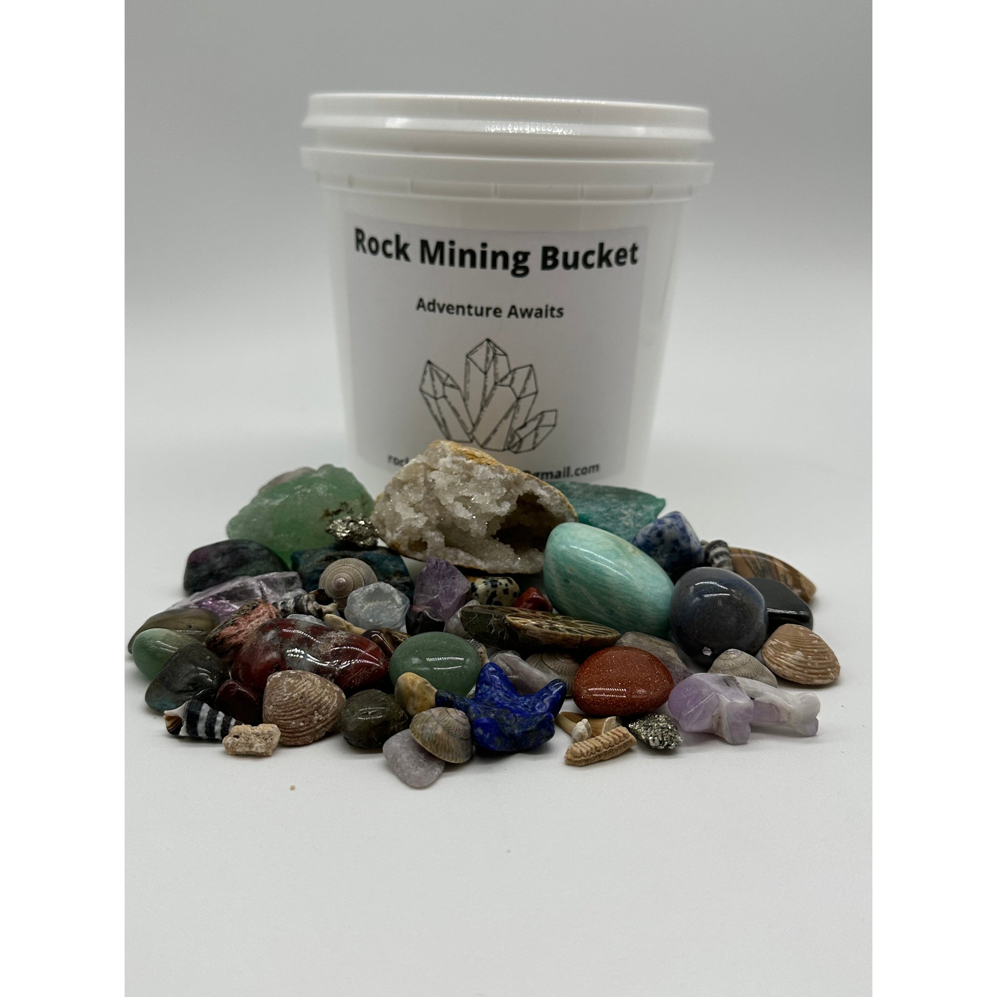 Ocean Life & Fossil Rock Mining Bucket-Lady Of The Moss