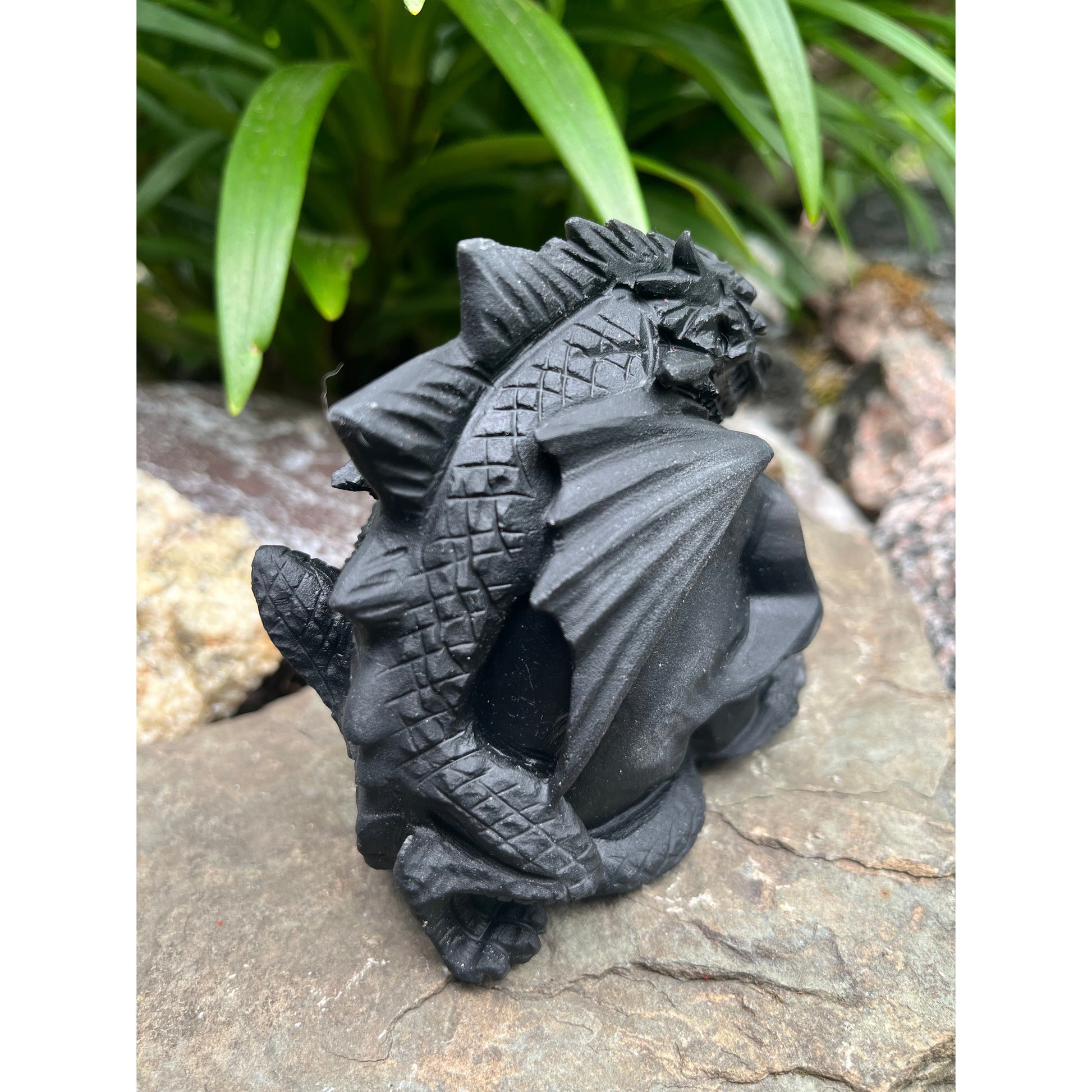 Black Obsidian Skull with Dragon-Lady Of The Moss