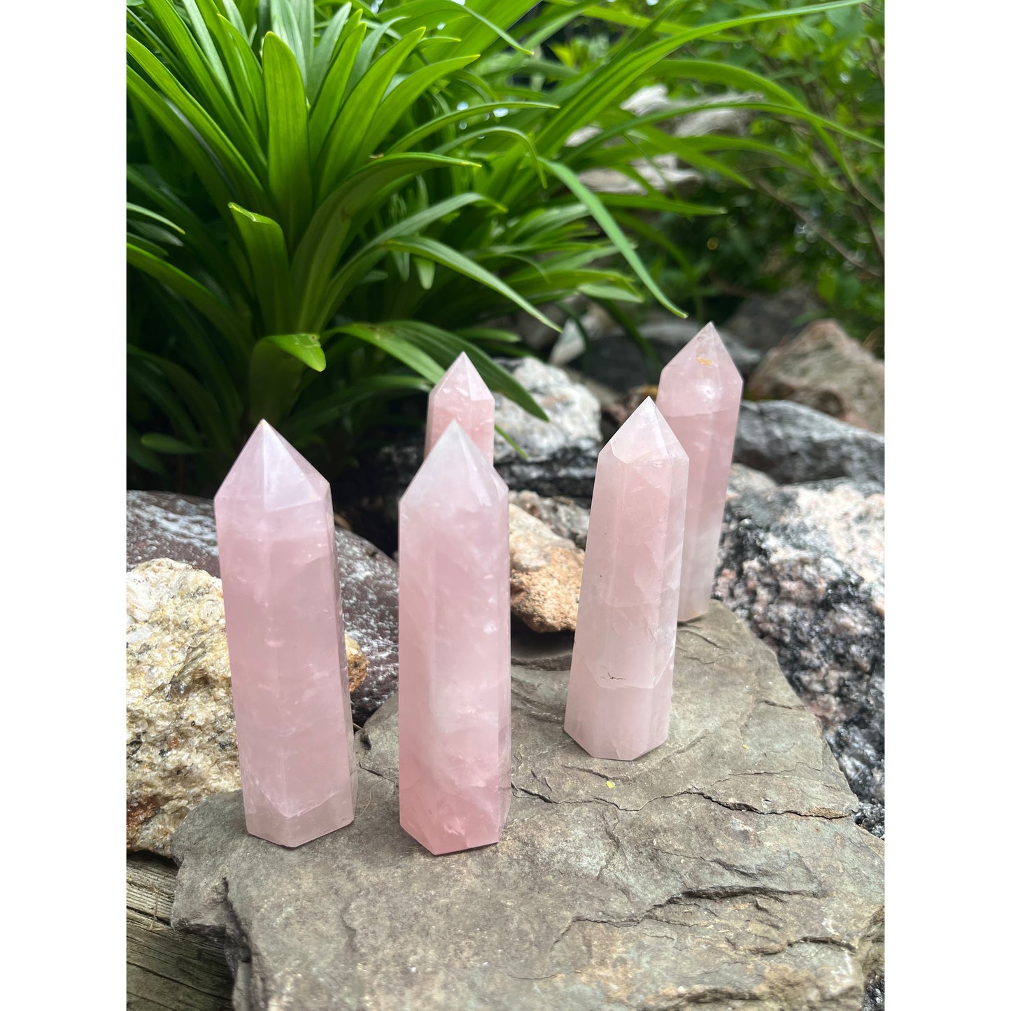 Rose Quartz Tower-Lady Of The Moss