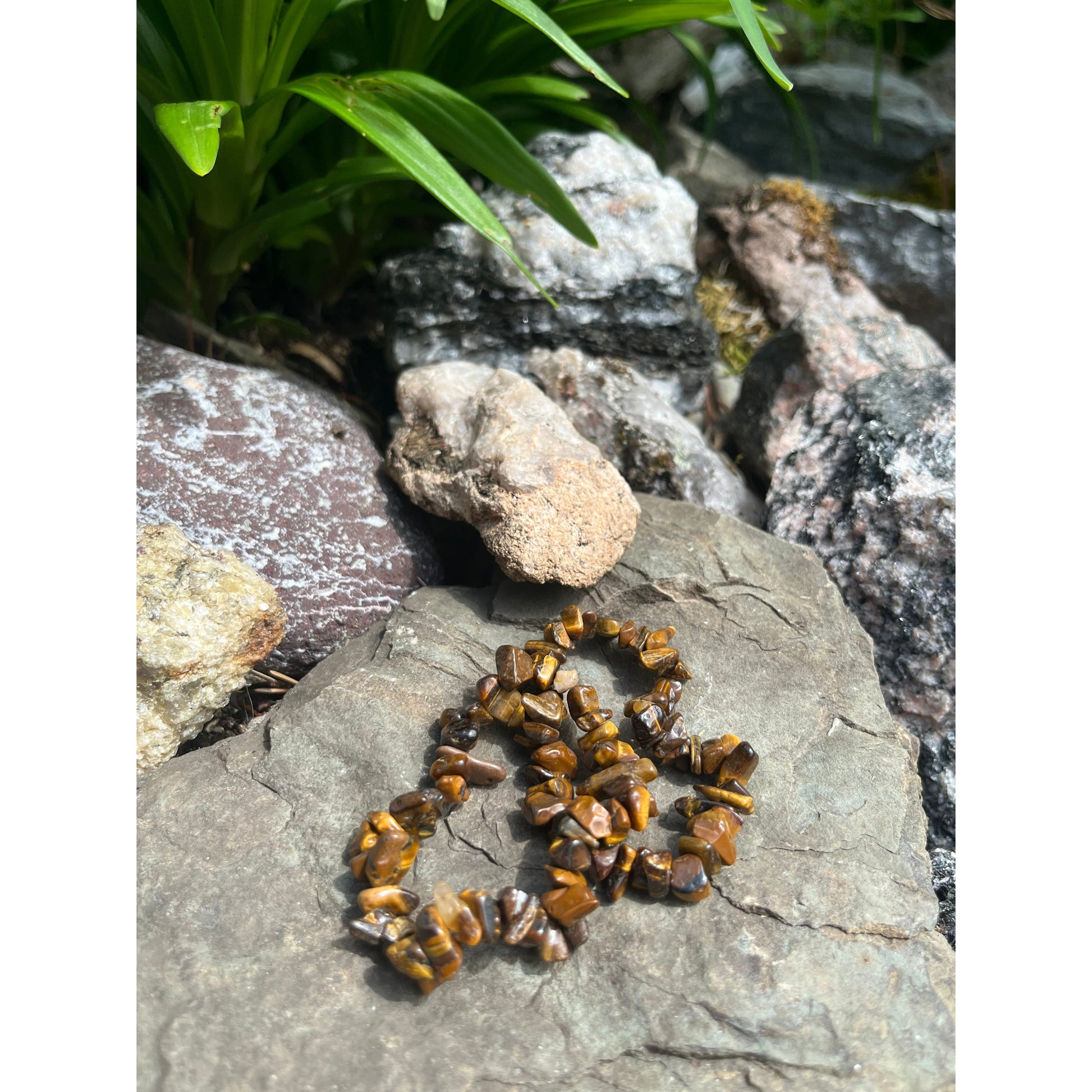 Tiger’s Eye Bracelet-Lady Of The Moss