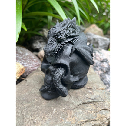 Black Obsidian Skull with Dragon-Lady Of The Moss