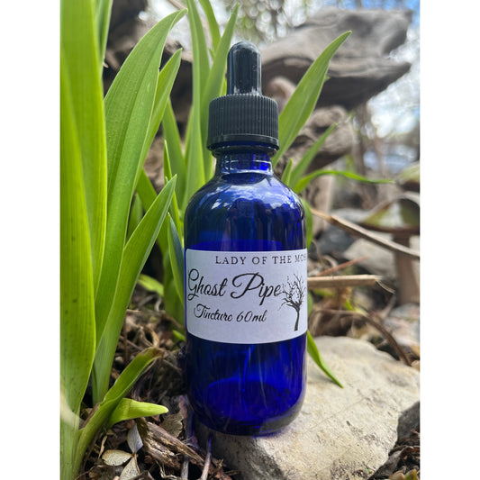 Limited Quantity! Ghost Pipe Tincture, Monotropa Uniflora, Indian Pipe-Lady Of The Moss