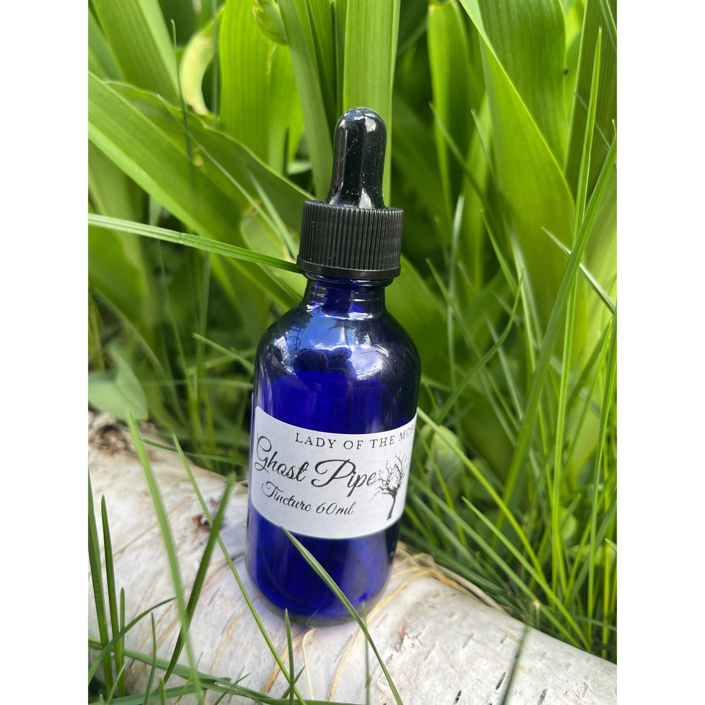 Limited Quantity! Ghost Pipe Tincture, Monotropa Uniflora, Indian Pipe-Lady Of The Moss