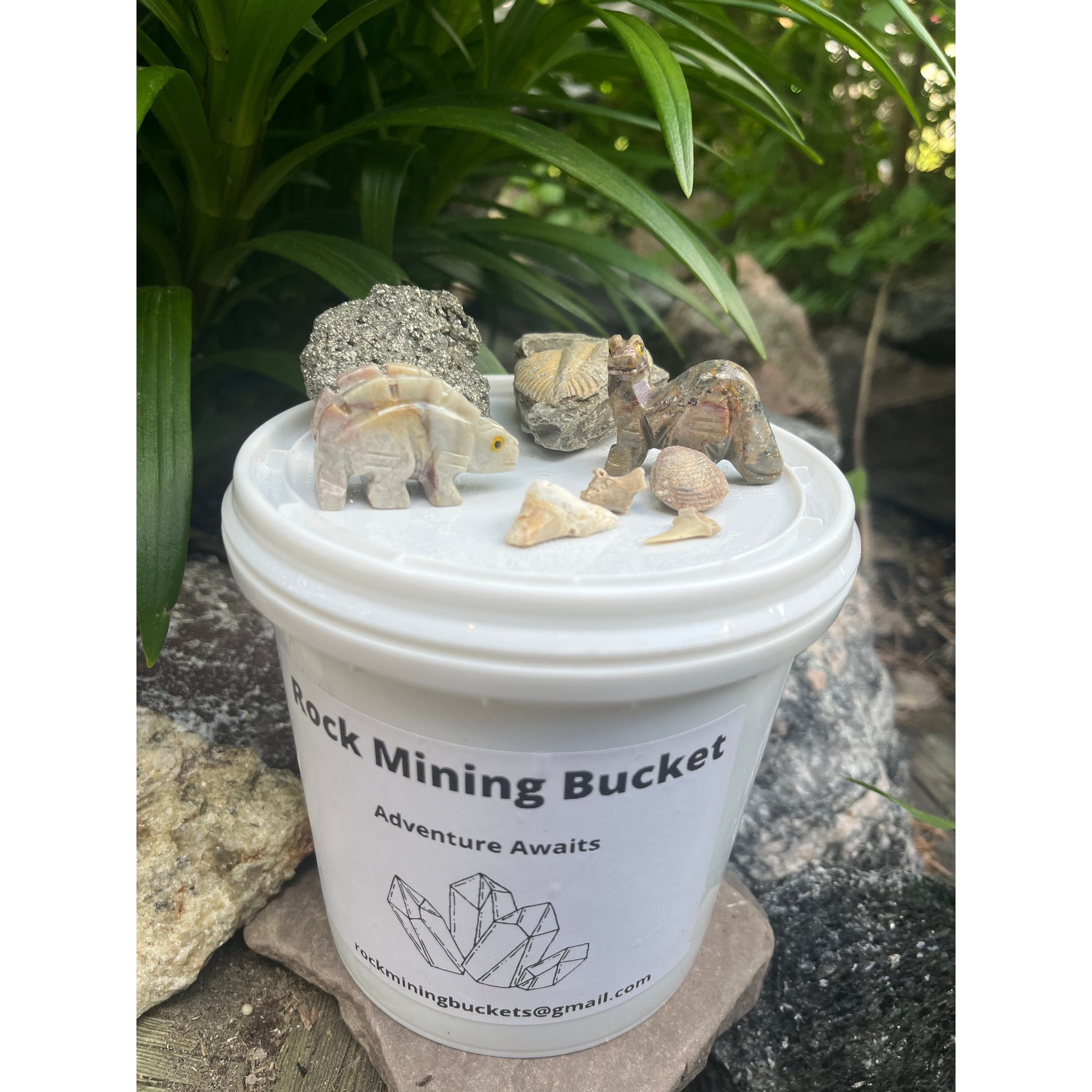 Dinosaur & Fossil Rock Mining Bucket-Lady Of The Moss