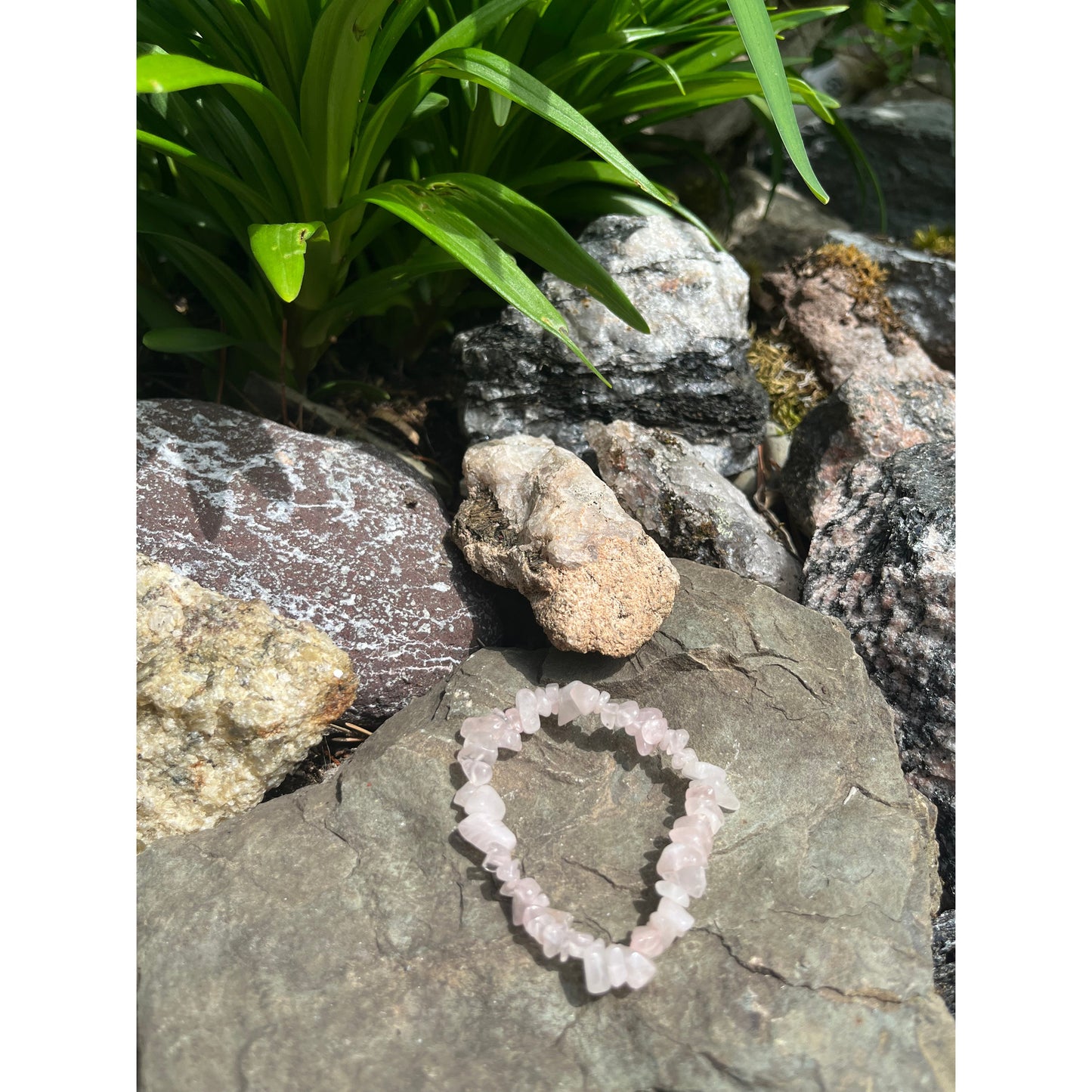 Rose Quartz Bracelet-Lady Of The Moss