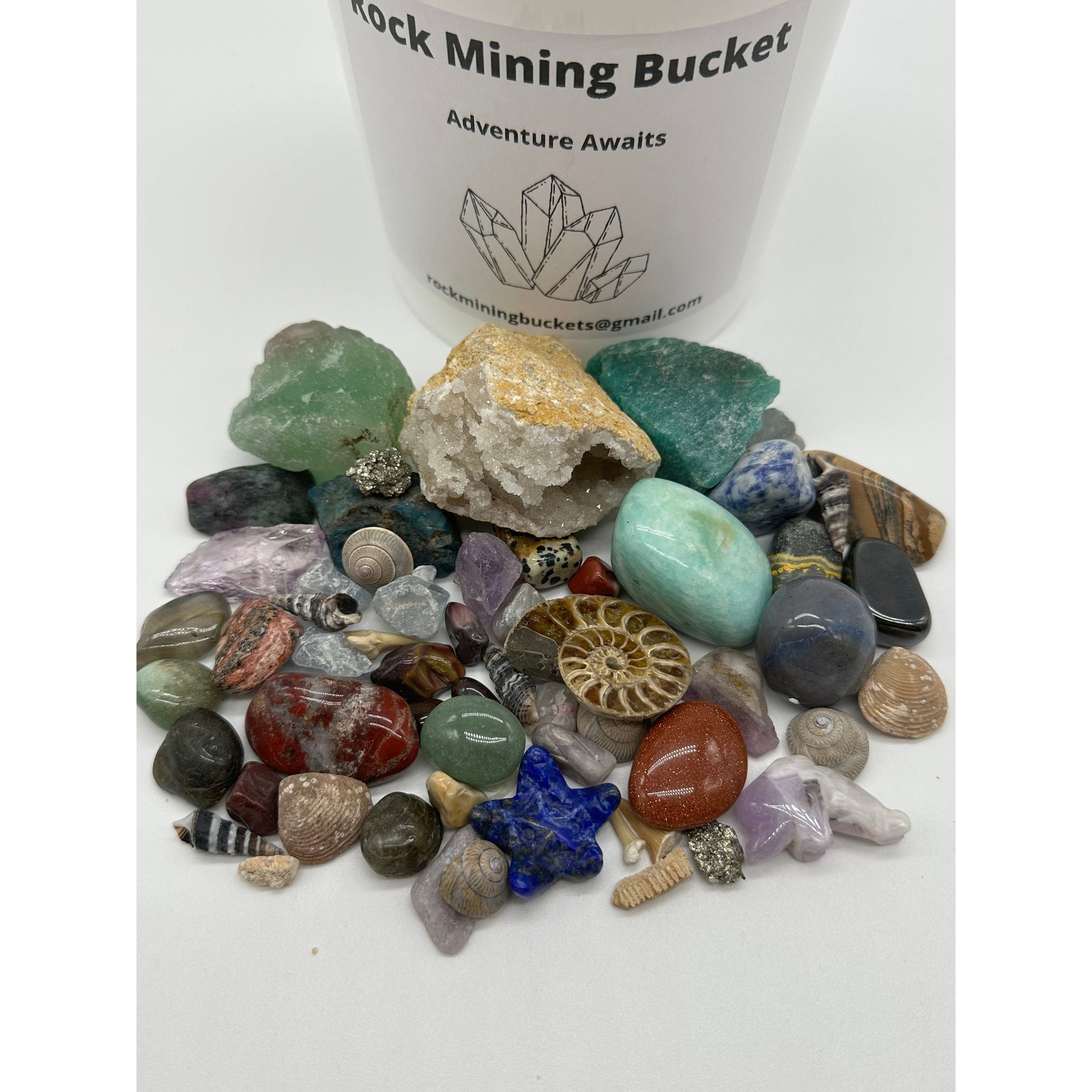 Ocean Life & Fossil Rock Mining Bucket-Lady Of The Moss