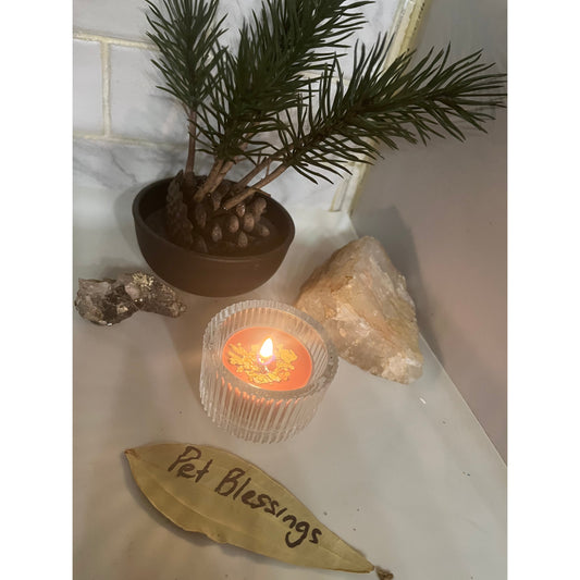 Pet Blessings-Protection-Health-Happiness- Candle Burning - Same Day-Lady Of The Moss